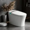 M979JA Smart Toilet