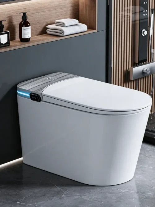 M979C Smart Toilet