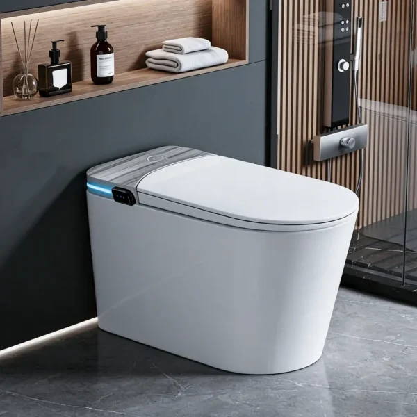M979JA Smart Toilet