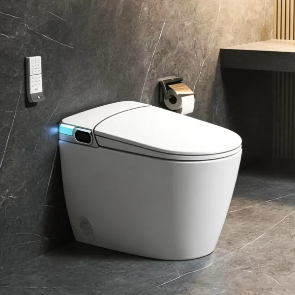M979JA Smart Toilet