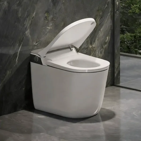 M979JA Smart Toilet