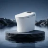 M979JA Smart Toilet