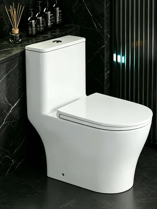 TR1222 Ceramic Toilet