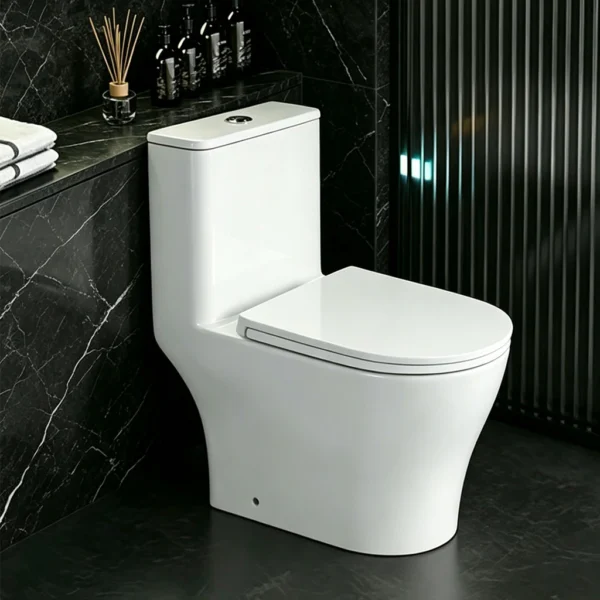 TR1222 Ceramic Toilet