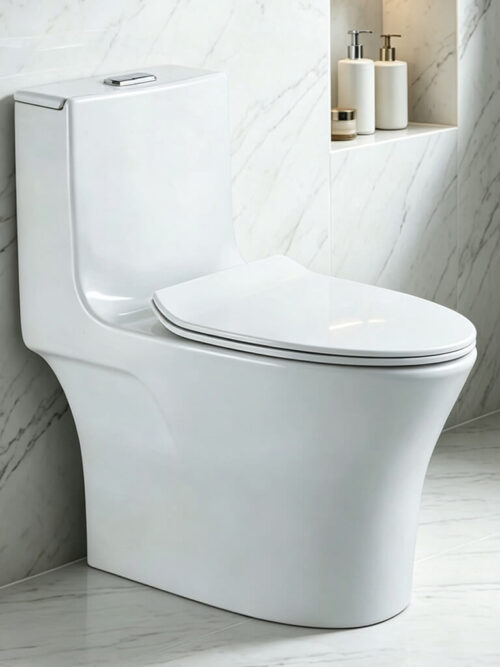 TR1182 Ceramic Toilet