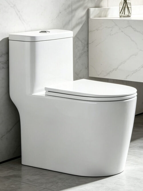 TR1217 Ceramic Toilet