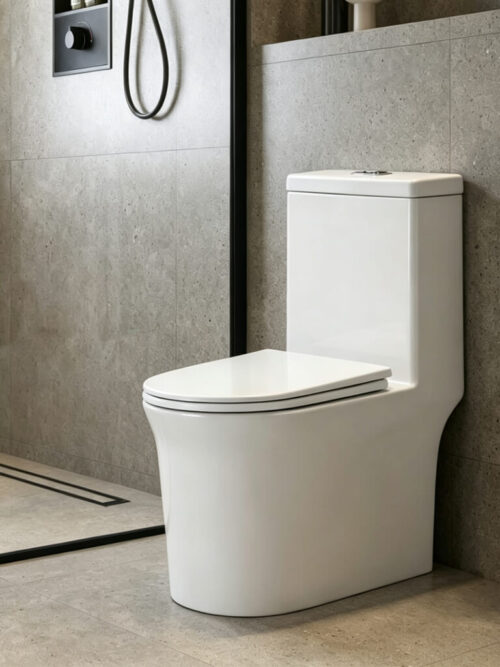 TR1218 Ceramic Toilet