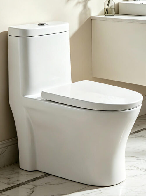 TR1189 Ceramic Toilet