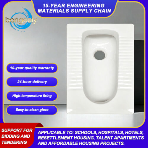 802 Dual Inlet Direct Flush Squat Toilet