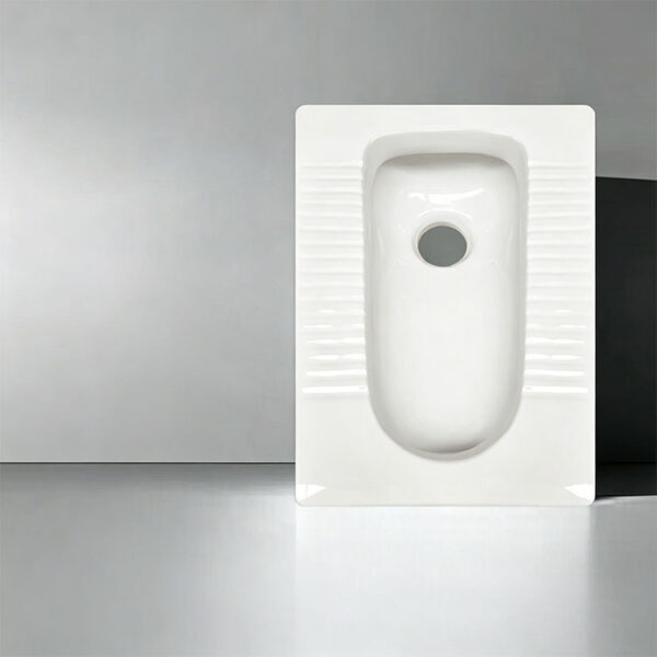 主图2 802 Dual Inlet Direct Flush Squat Toilet