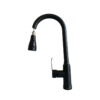 Kitchen Faucet