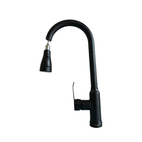 Kitchen Faucet