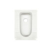 白底 802 Dual Inlet Direct Flush Squat Toilet